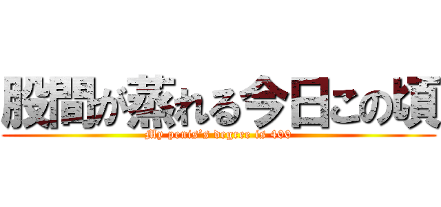 股間が蒸れる今日この頃 (My penis’s degree is 400)