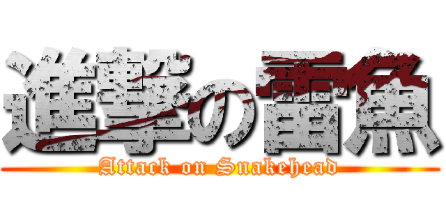 進撃の雷魚 (Attack on Snakehead)