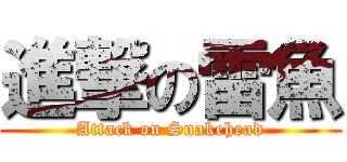 進撃の雷魚 (Attack on Snakehead)