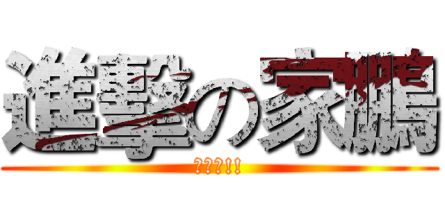 進擊の家鵬 (賣問啦!!)