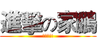 進擊の家鵬 (賣問啦!!)