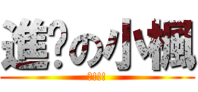 進擊の小楓 (驚!!!)