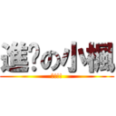 進擊の小楓 (驚!!!)