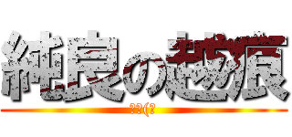 純良の越痕 (超純(?)