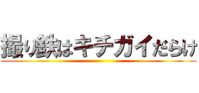 撮り鉄はキチガイだらけ ()