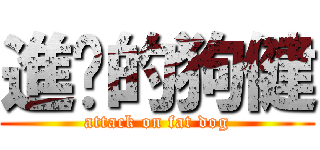 進擊的狗健 (attack on fat dog)