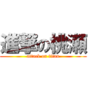 進撃の桃瀬 (attack on titan)