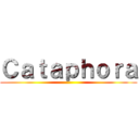 Ｃａｔａｐｈｏｒａ ()