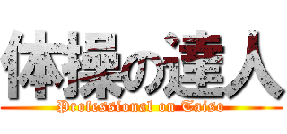 体操の達人 (Professional on Taiso)