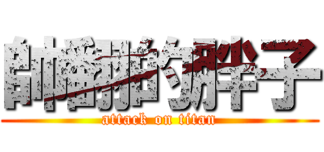 帥翻的胖子 (attack on titan)