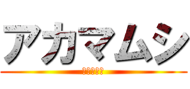 アカマムシ (アカマムシ)