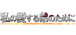私の愛する弟のために (para mi querido hermano)
