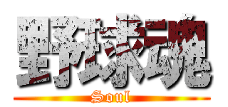 野球魂 (Soul)