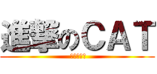 進撃のＣＡＴ ( 殺爆你全家)
