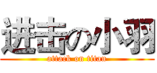 进击の小羽 (attack on titan)