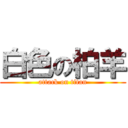 白色の柏羊 (attack on titan)
