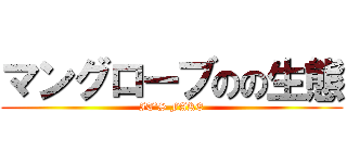 マングローブのの生態 (IT’S FAKE)