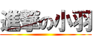 進撃の小羽 ()
