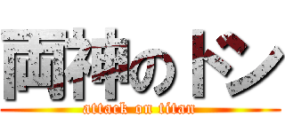 両神のドン (attack on titan)
