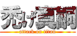 禿げ真嗣 (attack on titan)