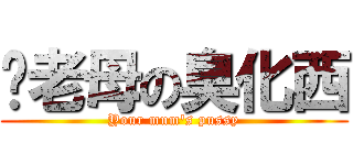 你老母の臭化西 (Your mum\'s pussy)