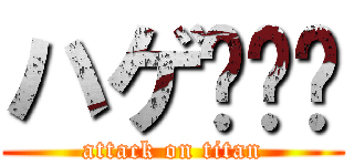 ハゲ🧑‍🦲 (attack on titan)
