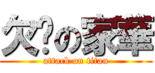 欠揍の家華 (attack on titan)