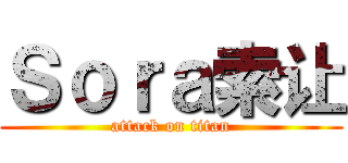 Ｓｏｒａ索让 (attack on titan)