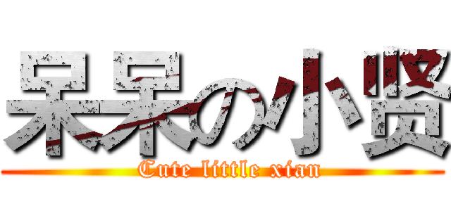 呆呆の小贤 (  Cute little xian)