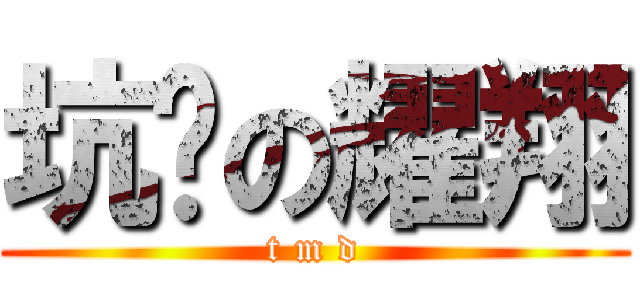 坑爹の耀翔 (t m d)