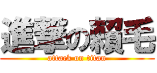 進撃の賴毛 (attack on titan)