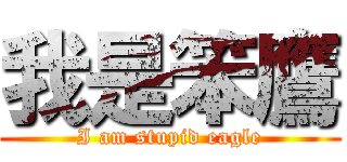 我是笨鷹 (I am stupid eagle)