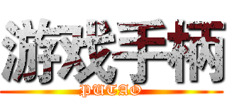 游戏手柄 (PUTAO)