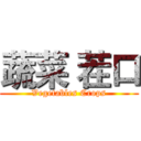 蔬菜 茬口 (Vegetables Crops)