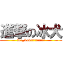 進撃の冰犬 (Ice_Lokiㄉㄉ我昰你的大粉絲)