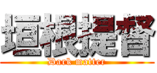 垣根提督 (Dark matter)