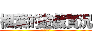 楓葉的遊戲實況 (楓葉的遊戲實況)