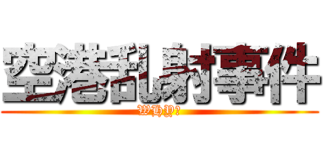 空港乱射事件 (WHY?)