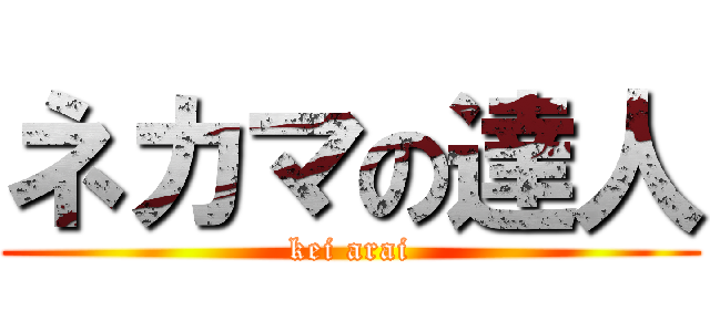 ネカマの達人 (kei arai)