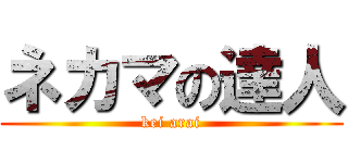 ネカマの達人 (kei arai)