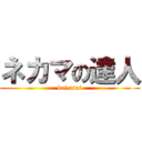ネカマの達人 (kei arai)