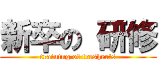 新卒の 研修 (training of fresher's)