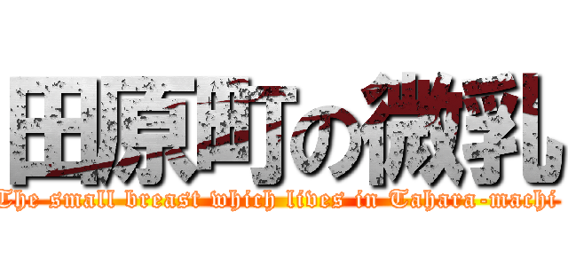 田原町の微乳 (The small breast which lives in Tahara-machi )