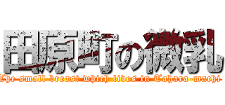 田原町の微乳 (The small breast which lives in Tahara-machi )