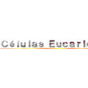 Ｃéｌｕｌａｓ Ｅｕｃａｒｉｏｔａｓ ()