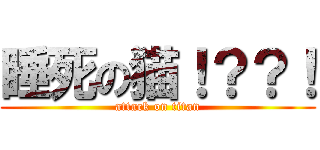 睡死の猫！？？！ (attack on titan)