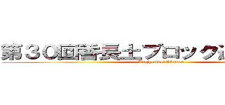 第３０回香長土ブロック連駅伝大会 (Kachoudo　Ekiden)