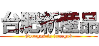 台肥新産品 (Garagas in tonegod)