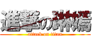進撃の琳嫣 (attack on titan)
