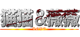 猫猫＆薇薇 (LOVE)